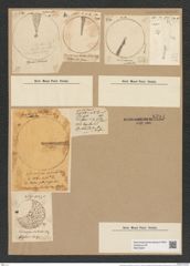 Coscinodiscus centralis Ehr. (de-Toni-Nr.: Genus 202, Species 5045) Zeichnungen Sammlung Grunow Nr. 8794 (NHMW-BOT-W0378397)